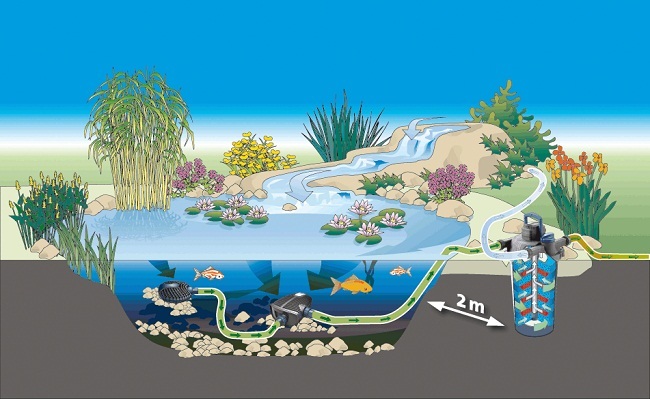 estanques-oase-filtoclear-presurizado-estanque-jardin-filtracion-biologica-mecanica-koi-kois-12000-2