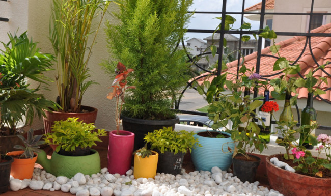 floresdecorar-un-balcon-con-plantas2