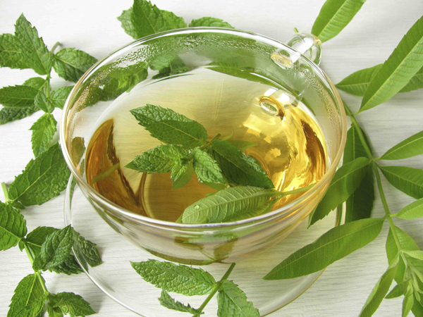 Herbal tea with lemon verbena and moroccan mint