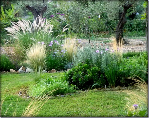 Cómo poner plantas en un jardin pequeño ¿Qué conviene elegir?