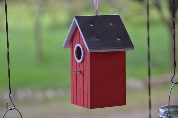 Cómo instalar una bonita casa para pájaros